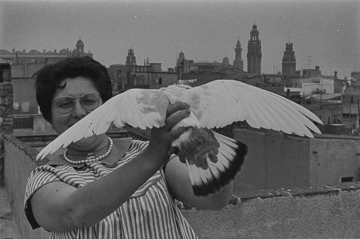 Foto en blanc i negre. Retrat de Felisa al terrat agafant un colom amb les ales esteses