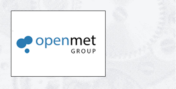 logo Openmet Group