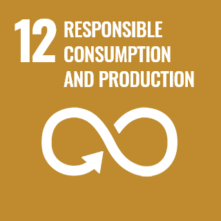 Sustainable consumption and production