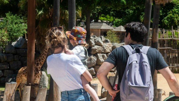 El Zoo de Barcelona ha rebut la certificació Biosphere Sustainable Lifestyle