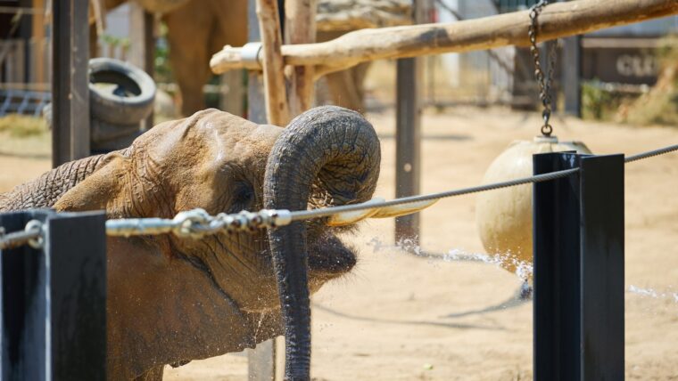 Zoo de Barcelona