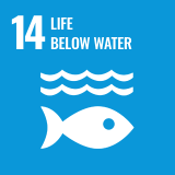 Icon of the Sustainable Development Goal 14 of the 2030 Agenda