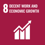 Icon of the Sustainable Development Goal of the 2030 Agenda