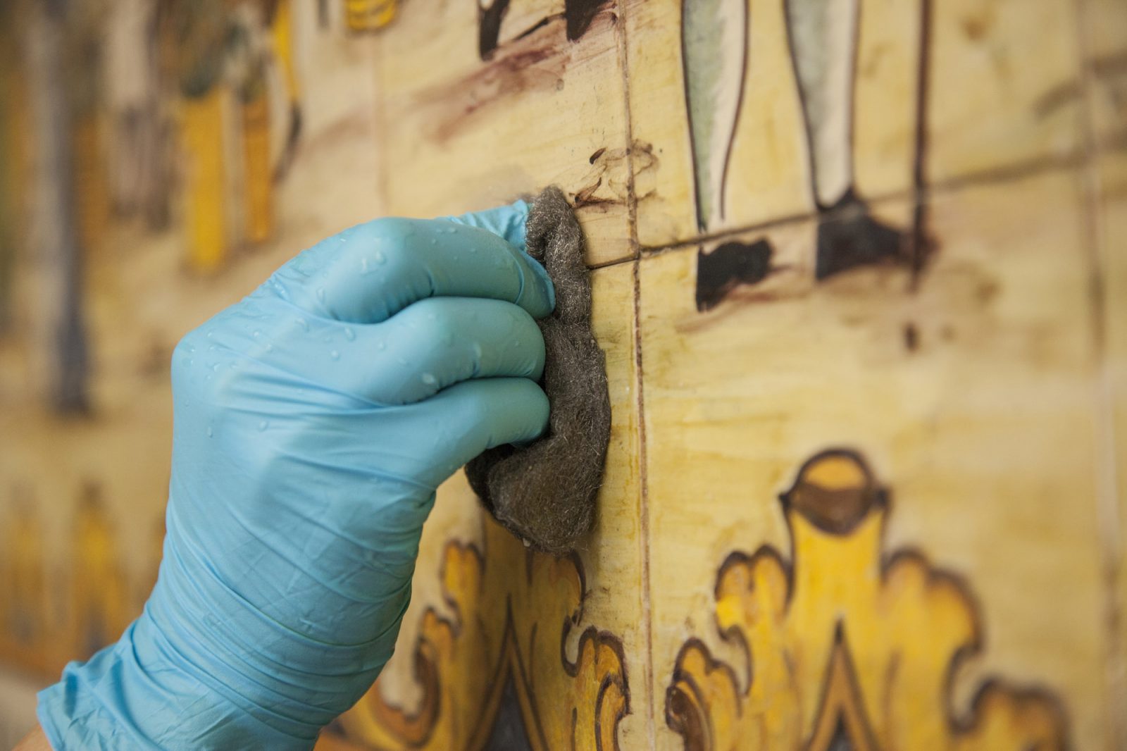 Consells de conservació