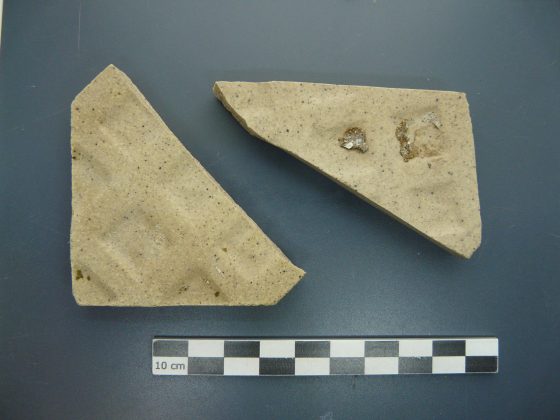 Imatge 3 de Servei d'Arqueologia