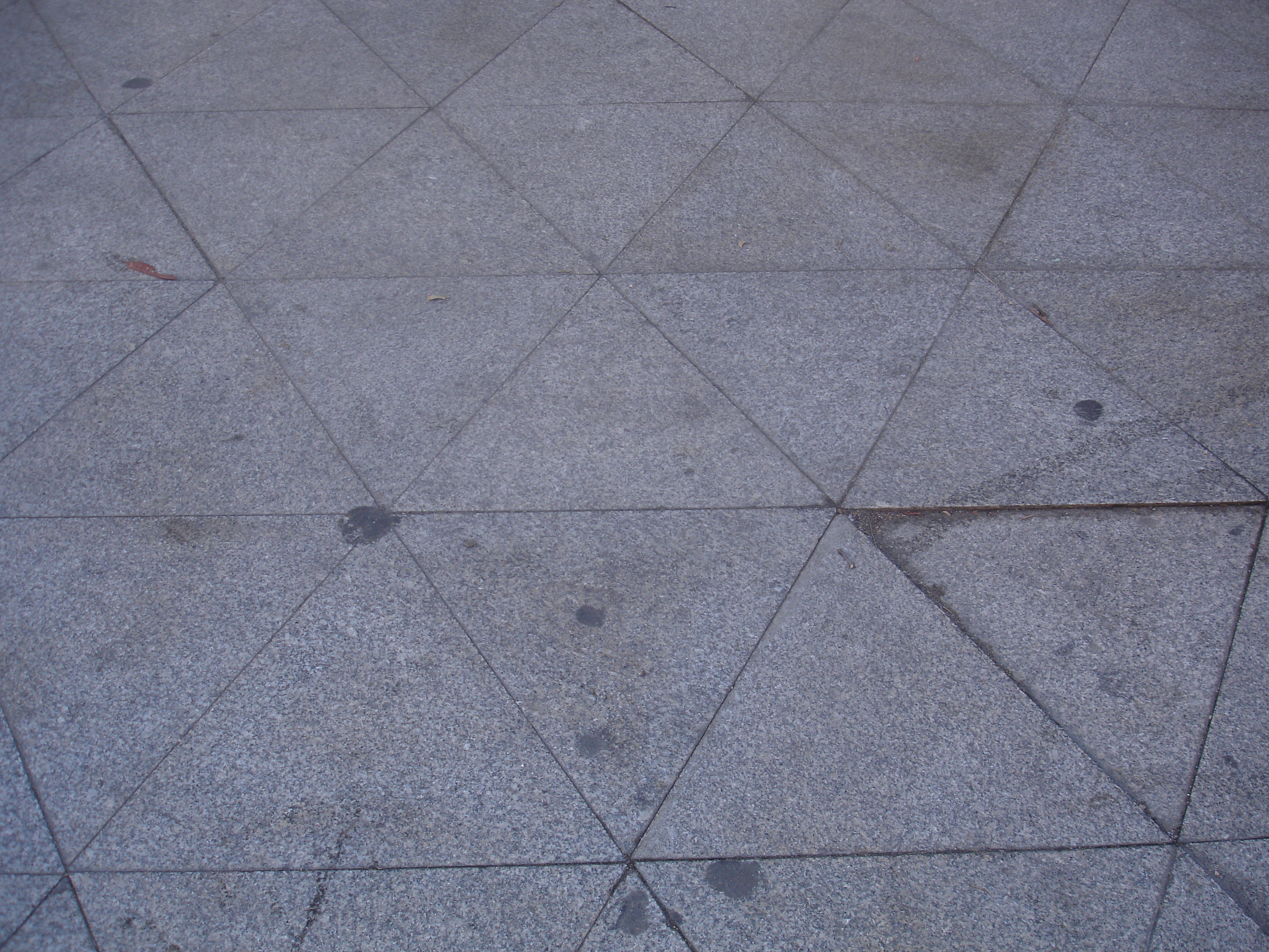 (Foto: A. Toribio Santisteban)