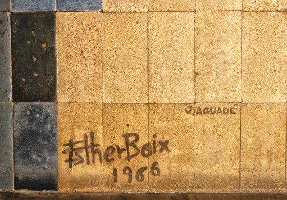 Imatge 4 de Tomás Mayral