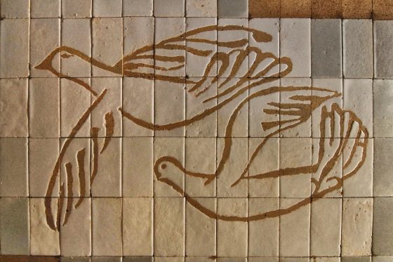 Imatge 6 de Tomás Mayral