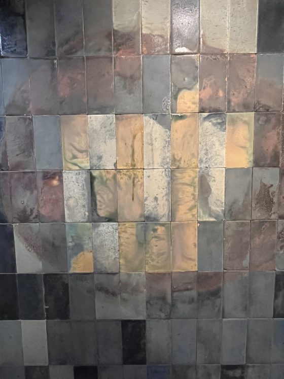 Imatge 2 de Xavier Simon