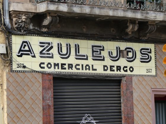 Imatge 0 de Ramón Sales Encinas