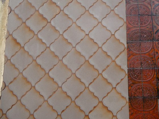 Imatge 1 de Ramón Sales Encinas