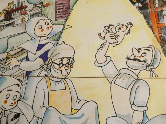 Imatge 10 de Ramón Sales Encinas