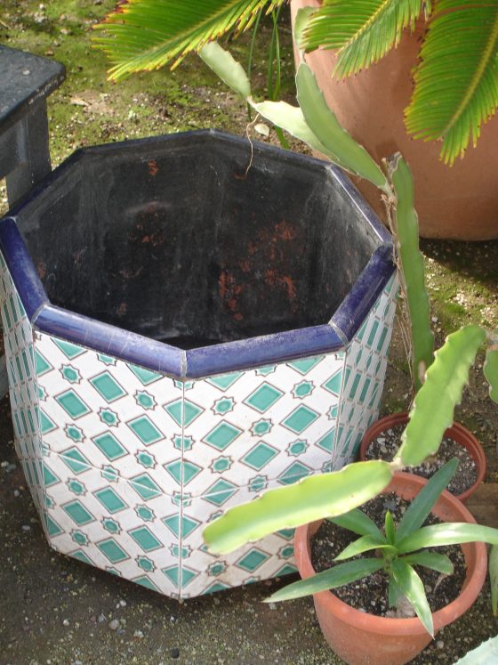 Imatge 0 de Angeles Toribio Santisteban