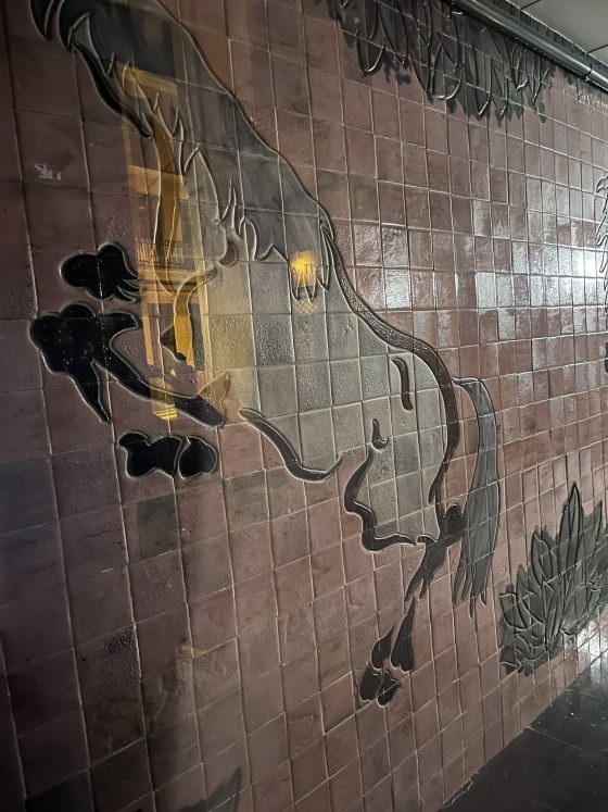 Imatge 1 de Xavier Simón