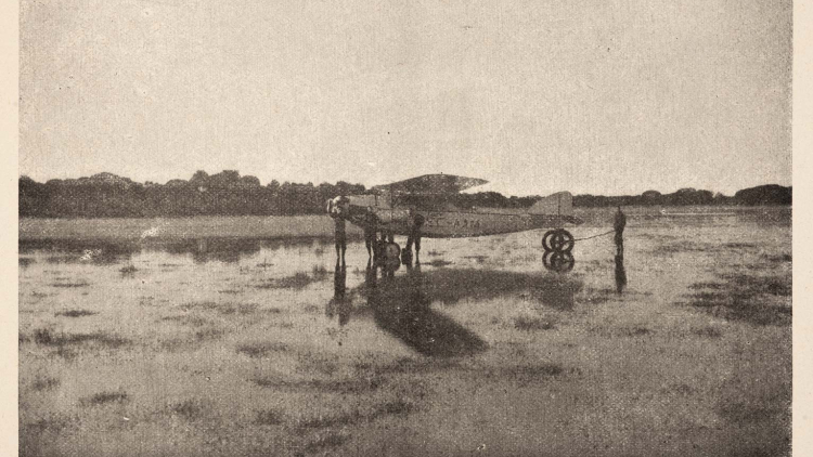 Biplà sobre els terrenys dels aiguamolls