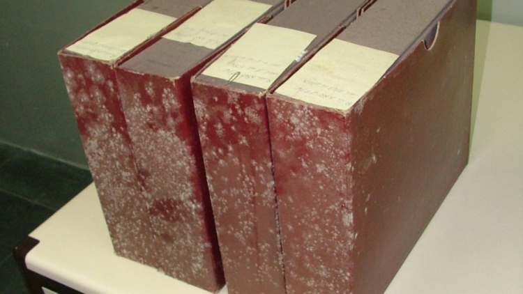 Cobertes d’estoigs afectats per colònies de fongs 