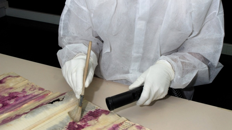 Treball de desinfecció