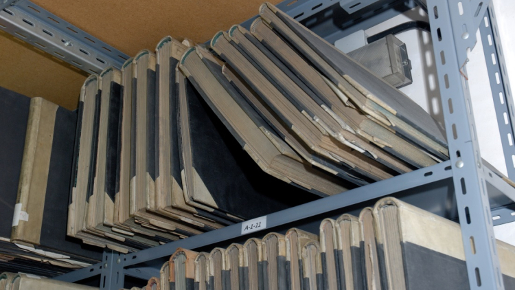 Llibres adaptats a la prestatgeria