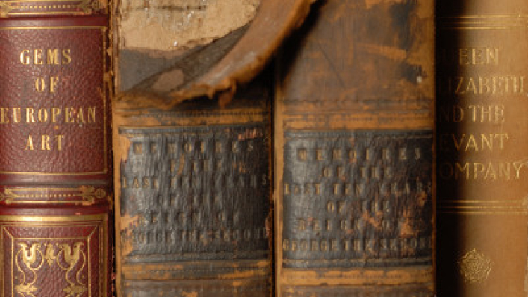 Dany a la part superior del llom del llibre