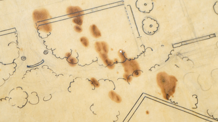 Plànol amb cremades