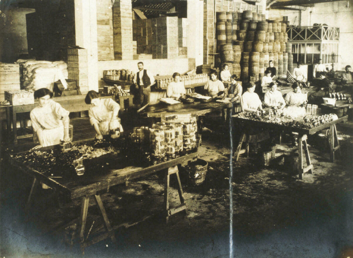 Dones treballant a l'obrador d'una fàbrica de conserves, 1910-1920. AFB. Antonietti