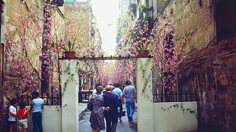 Photograph of a decorated Carrer Progrés during the 1980 Festa Major de Gràcia