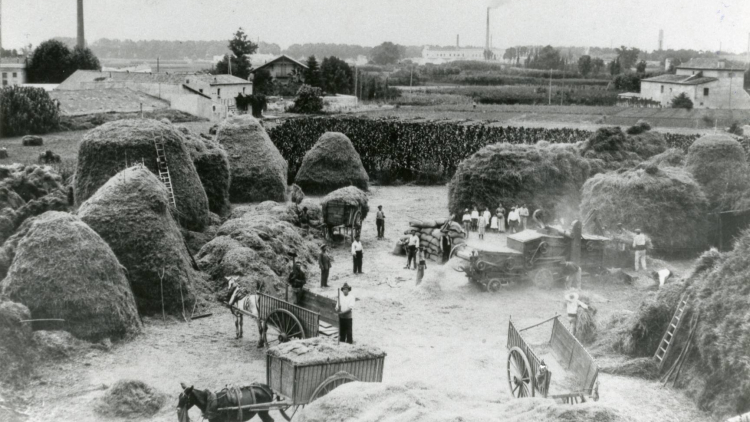 In the foreground, peasants working in a large barn where donkeys pulling carts can be observed. This barn is located in front of the farmhouse to which it belongs; in the background, there are more farmhouses and chimneys of factories in operation.
