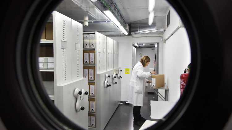 Imatge de recurs: gestió documental