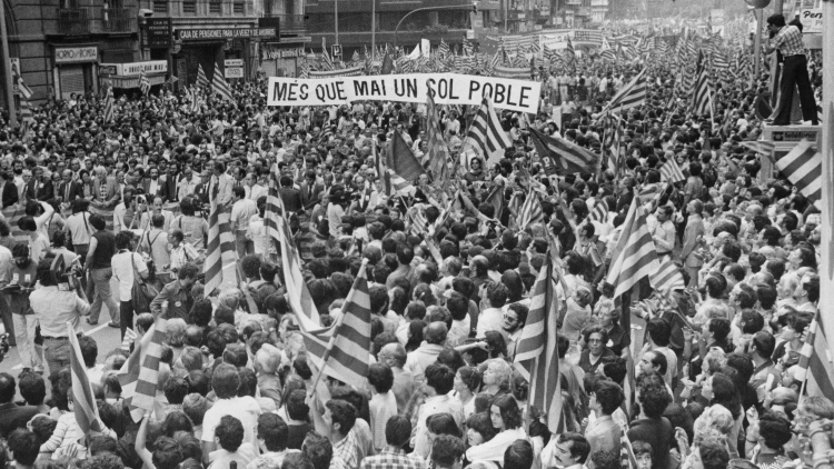 The powerful social mobilisation of the last years of Francoism made the outburst of democracy on a municipal level possible, starting with the elections on 3 April 1979. Photographs of the 11 September demonstration in 1979 on Ronda Universitat, Barcelona