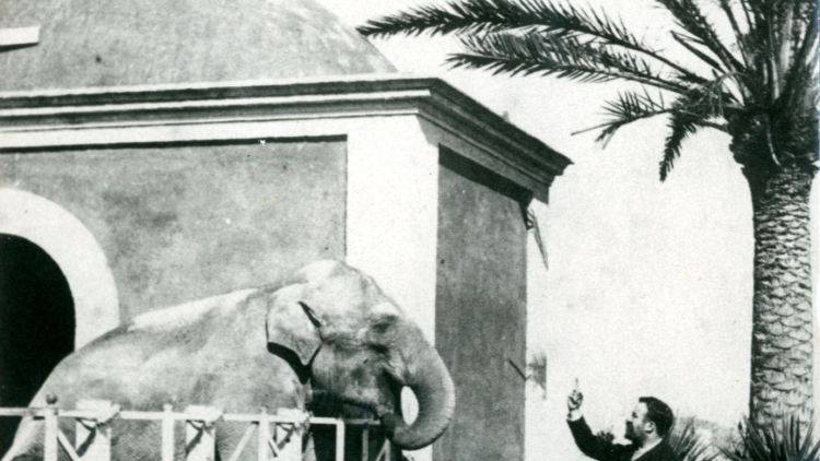 Lluís Codolar at the family farm with the elephant L’Avi, 1872-1892, Martí Codolar Collection. AMDHG. 