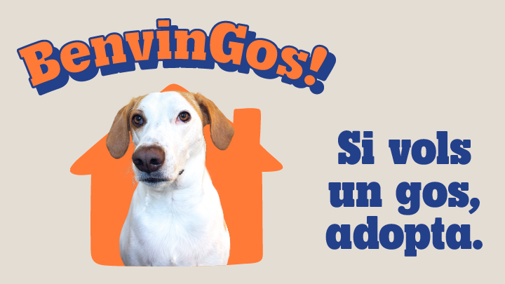 Campanya adopció - Benvingos