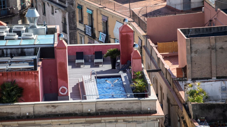 gavina volant sobre una terrassa