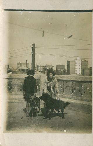 Noies amb gossos al terrat