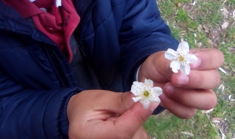 festa infantil de la primavera