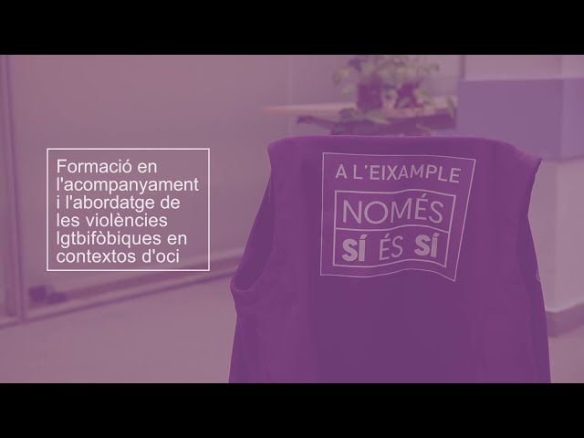 Abordatge i acompanyament de les violències LGTBI-fòbiques