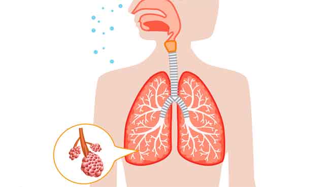 Inhalació pulmonar
