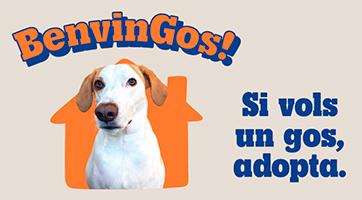 Campanya adopció - Benvingos