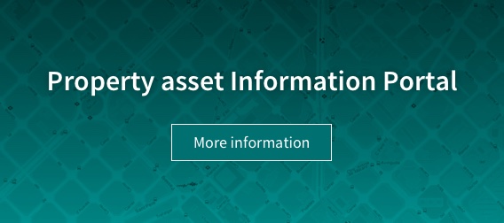 Property asset information portal - More Information