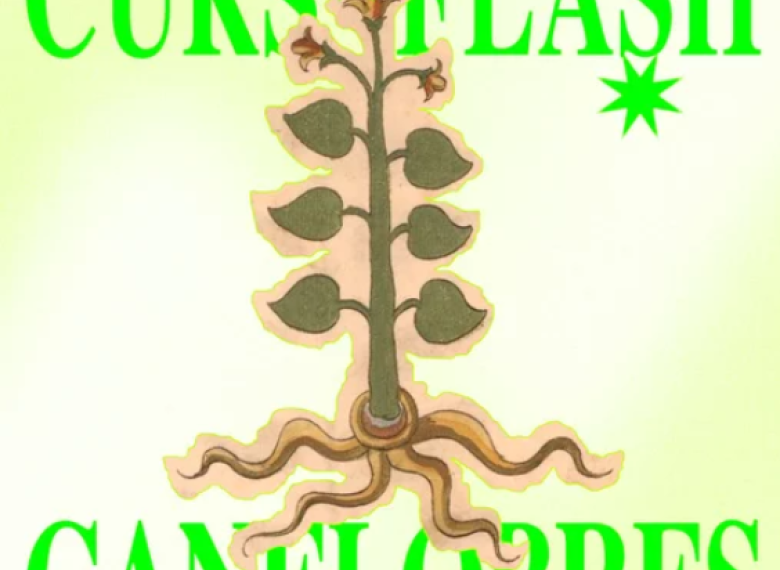 Curs canelobres La Escocesa