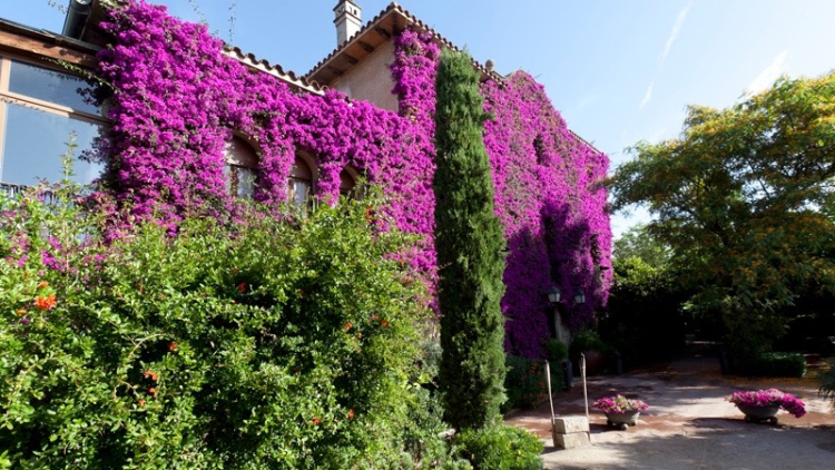 Can Travi Nou en l'actualitat