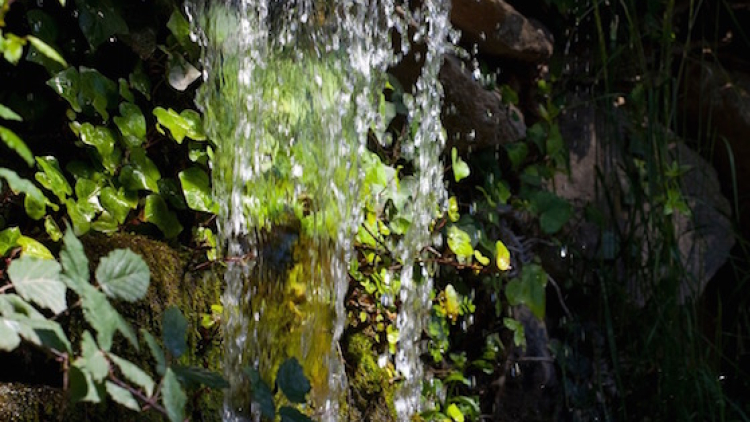 Parc del Laberint d'Horta
