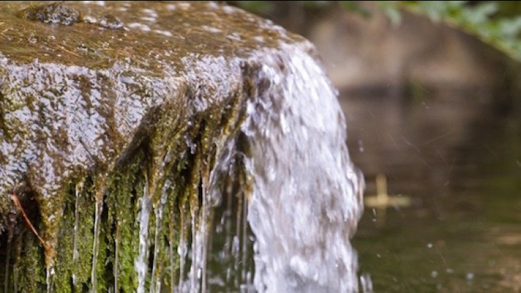 Parc del Laberint d'Horta