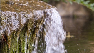 Parc del Laberint d'Horta
