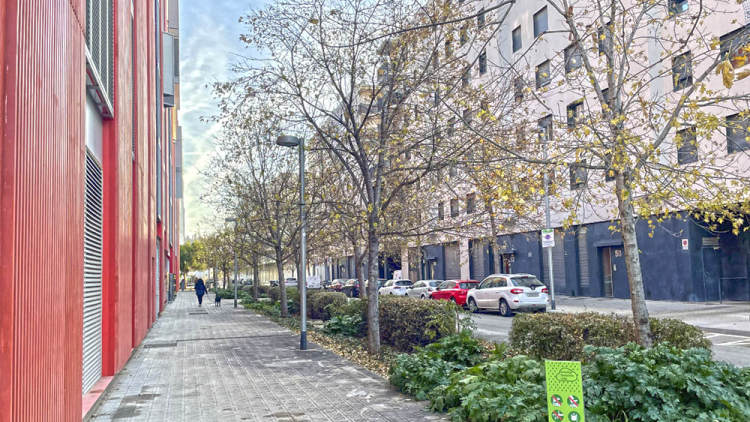 MPV Sector 10-Habitatges c. Cal Cisó-Pontis (des 25)