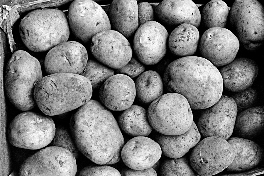 Potatoes, 2005