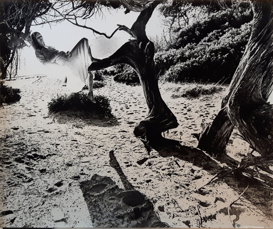 Tony Keeler. 'Dreams on a Sabine tree', de la sèrie <<Ibiza a dream...?>>, ca. 1973