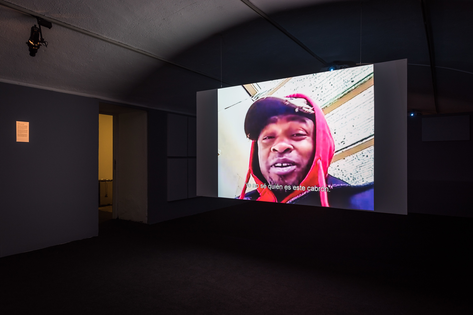 Natalie Bookchin. Retrats de la multitud