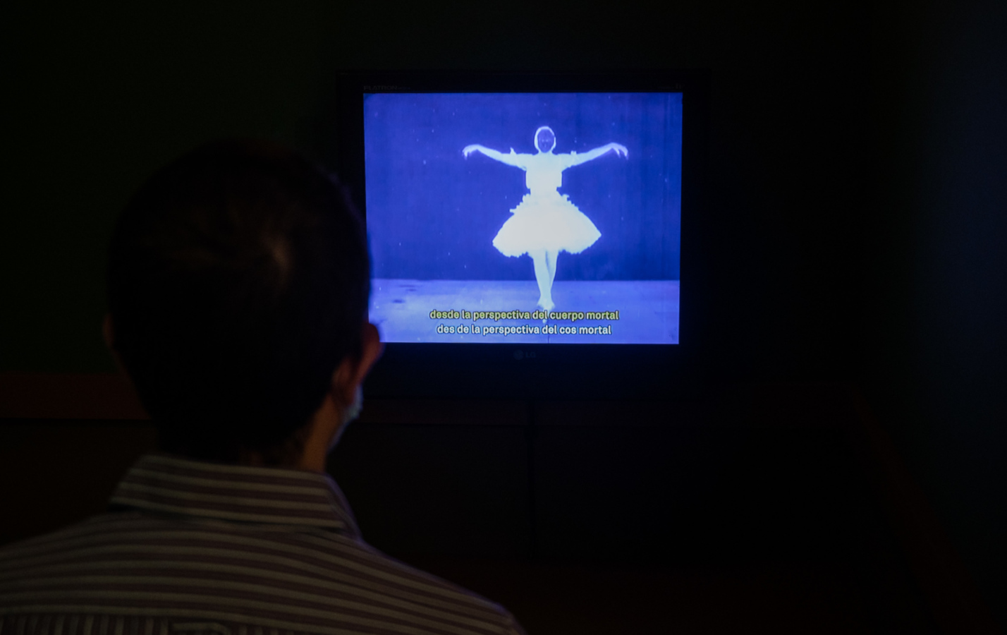 Boris Groys - Pensant en bucle