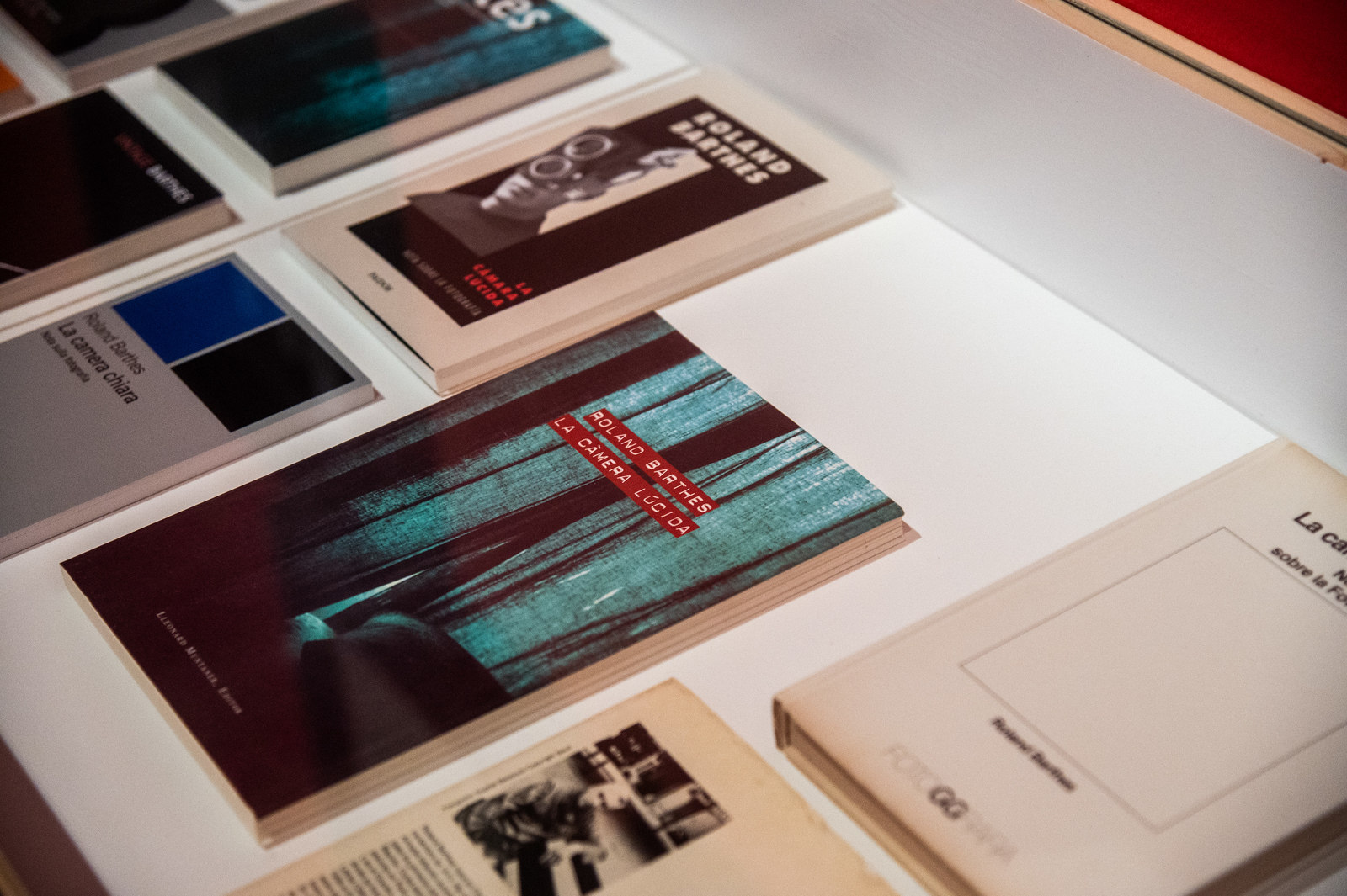 Joan Fontcuberta - Ça-a-été? Contra Barthes