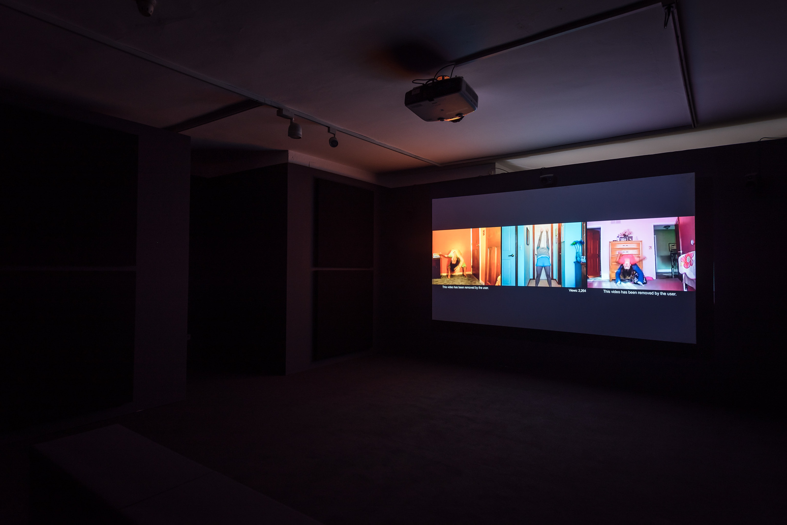 Natalie Bookchin. Retrats de la multitud